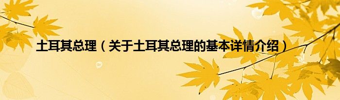 土耳其总理（关于土耳其总理的基本详情介绍）