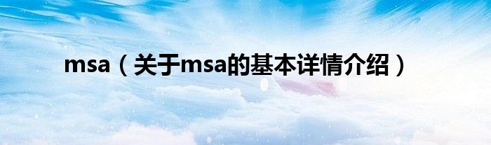 msa（关于msa的基本详情介绍）