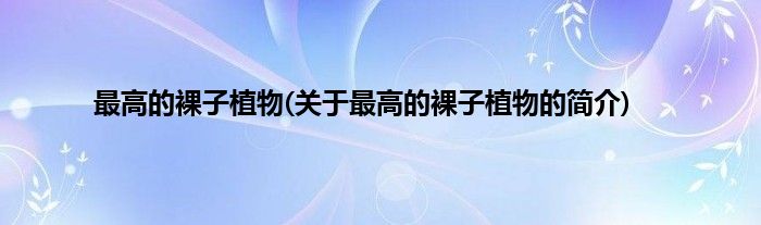 最高的裸子植物(关于最高的裸子植物的简介)