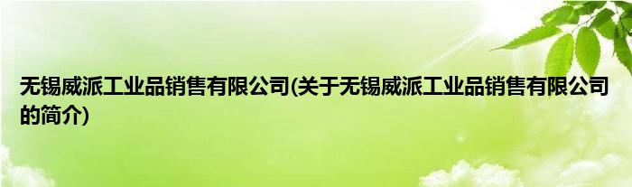 无锡威派工业品销售有限公司(关于无锡威派工业品销售有限公司的简介)