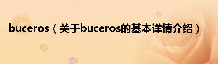 buceros（关于buceros的基本详情介绍）