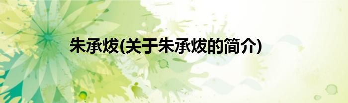 朱承炦(关于朱承炦的简介)