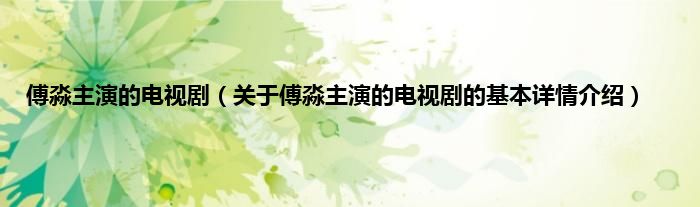 傅淼主演的电视剧（关于傅淼主演的电视剧的基本详情介绍）