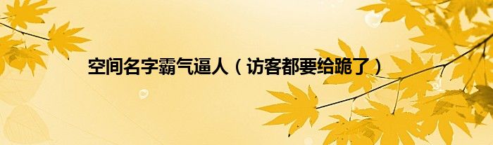 空间名字霸气逼人（访客都要给跪了）