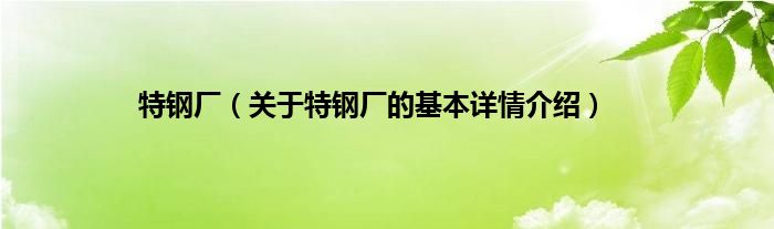 特钢厂（关于特钢厂的基本详情介绍）