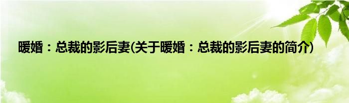 暖婚：总裁的影后妻(关于暖婚：总裁的影后妻的简介)