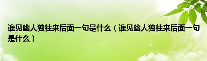 谁见幽人独往来后面一句是什么（谁见幽人独往来后面一句是什么）