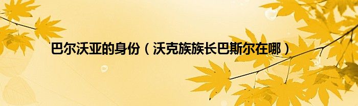 巴尔沃亚的身份（沃克族族长巴斯尔在哪）