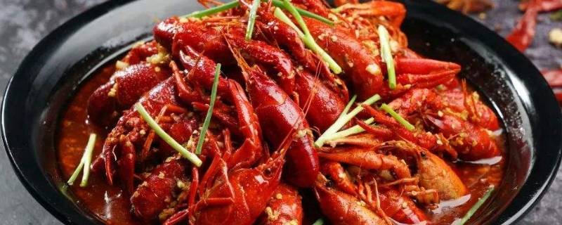 红色的虾是什么虾