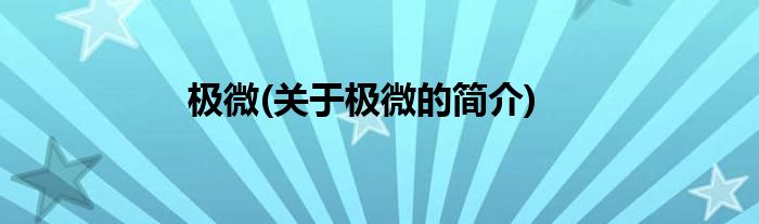 极微(关于极微的简介)