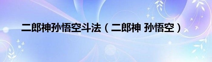 二郎神孙悟空斗法（二郎神 孙悟空）
