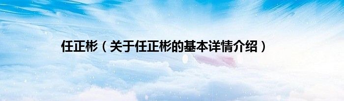 任正彬（关于任正彬的基本详情介绍）