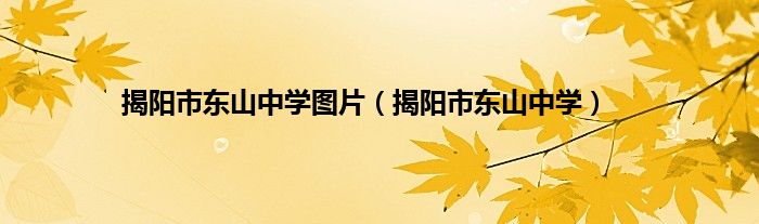 揭阳市东山中学图片（揭阳市东山中学）