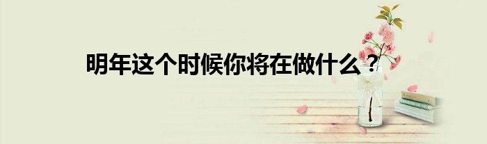 明年这个时候你将在做什么？