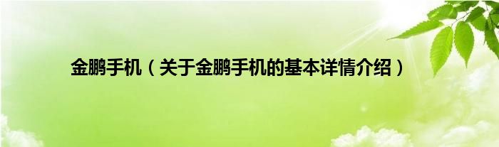 金鹏手机（关于金鹏手机的基本详情介绍）