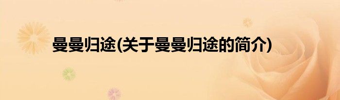 曼曼归途(关于曼曼归途的简介)