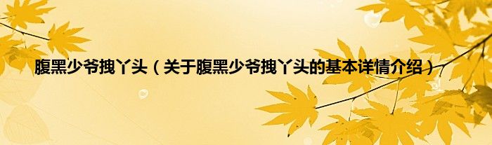 腹黑少爷拽丫头（关于腹黑少爷拽丫头的基本详情介绍）