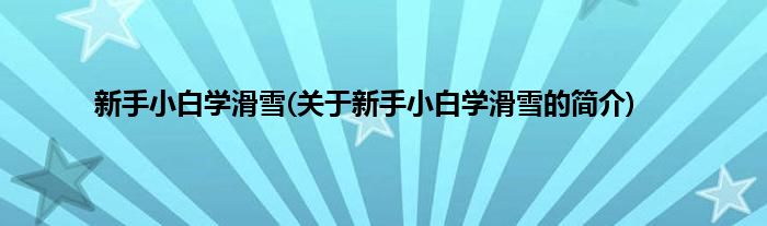 新手小白学滑雪(关于新手小白学滑雪的简介)