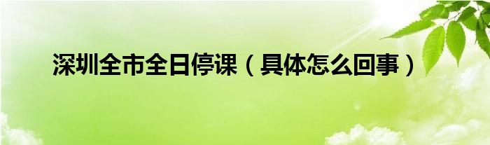 深圳全市全日停课（具体怎么回事）