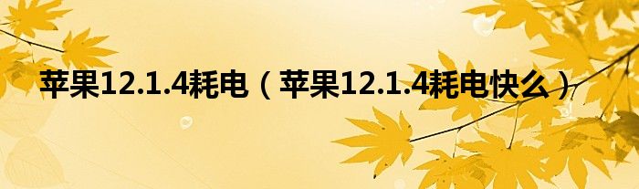 苹果12.1.4耗电（苹果12.1.4耗电快么）