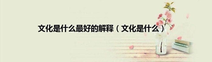 文化是什么最好的解释（文化是什么）