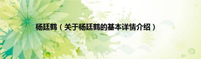 杨廷鹤（关于杨廷鹤的基本详情介绍）