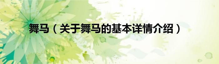 舞马（关于舞马的基本详情介绍）