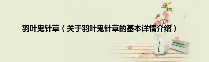 羽叶鬼针草（关于羽叶鬼针草的基本详情介绍）