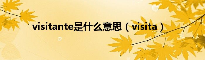 visitante是什么意思（visita）
