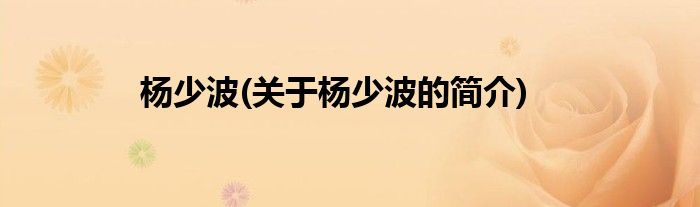 杨少波(关于杨少波的简介)