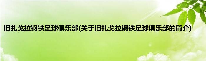 旧扎戈拉钢铁足球俱乐部(关于旧扎戈拉钢铁足球俱乐部的简介)