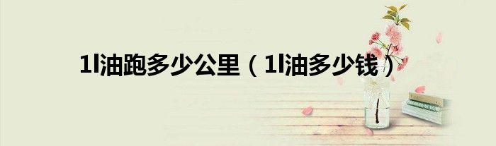 1l油跑多少公里（1l油多少钱）