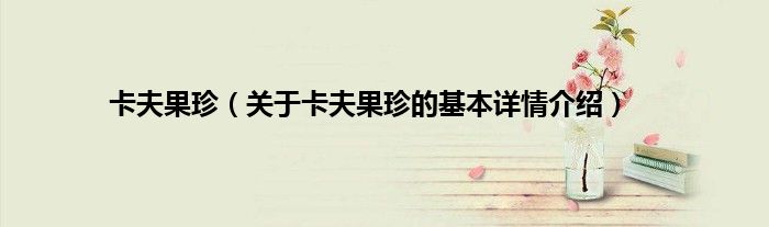 卡夫果珍（关于卡夫果珍的基本详情介绍）