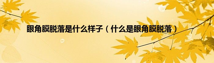 眼角膜脱落是什么样子（什么是眼角膜脱落）