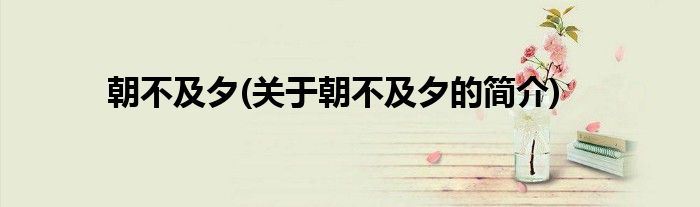 朝不及夕(关于朝不及夕的简介)