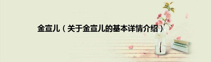 金宣儿（关于金宣儿的基本详情介绍）