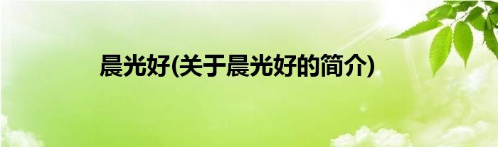晨光好(关于晨光好的简介)