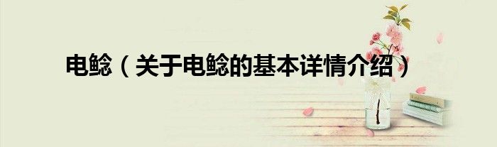 电鲶（关于电鲶的基本详情介绍）
