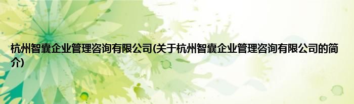 杭州智囊企业管理咨询有限公司(关于杭州智囊企业管理咨询有限公司的简介)