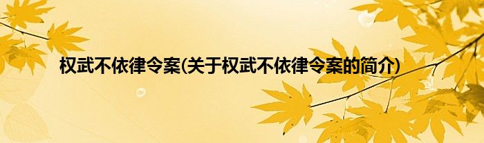 权武不依律令案(关于权武不依律令案的简介)