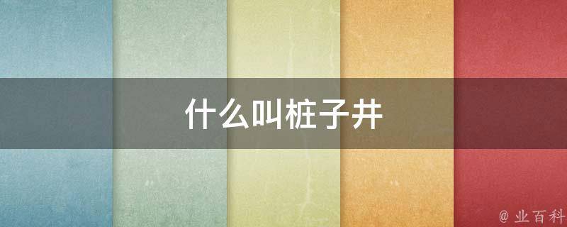 什么叫桩子井