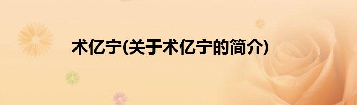 术亿宁(关于术亿宁的简介)