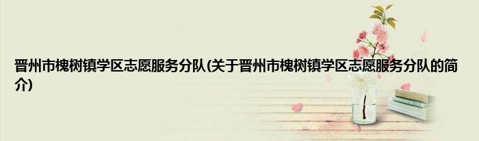 晋州市槐树镇学区志愿服务分队(关于晋州市槐树镇学区志愿服务分队的简介)