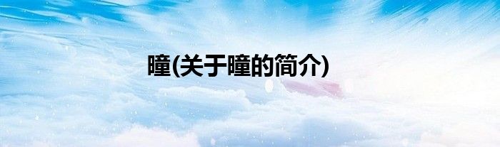 曈(关于曈的简介)